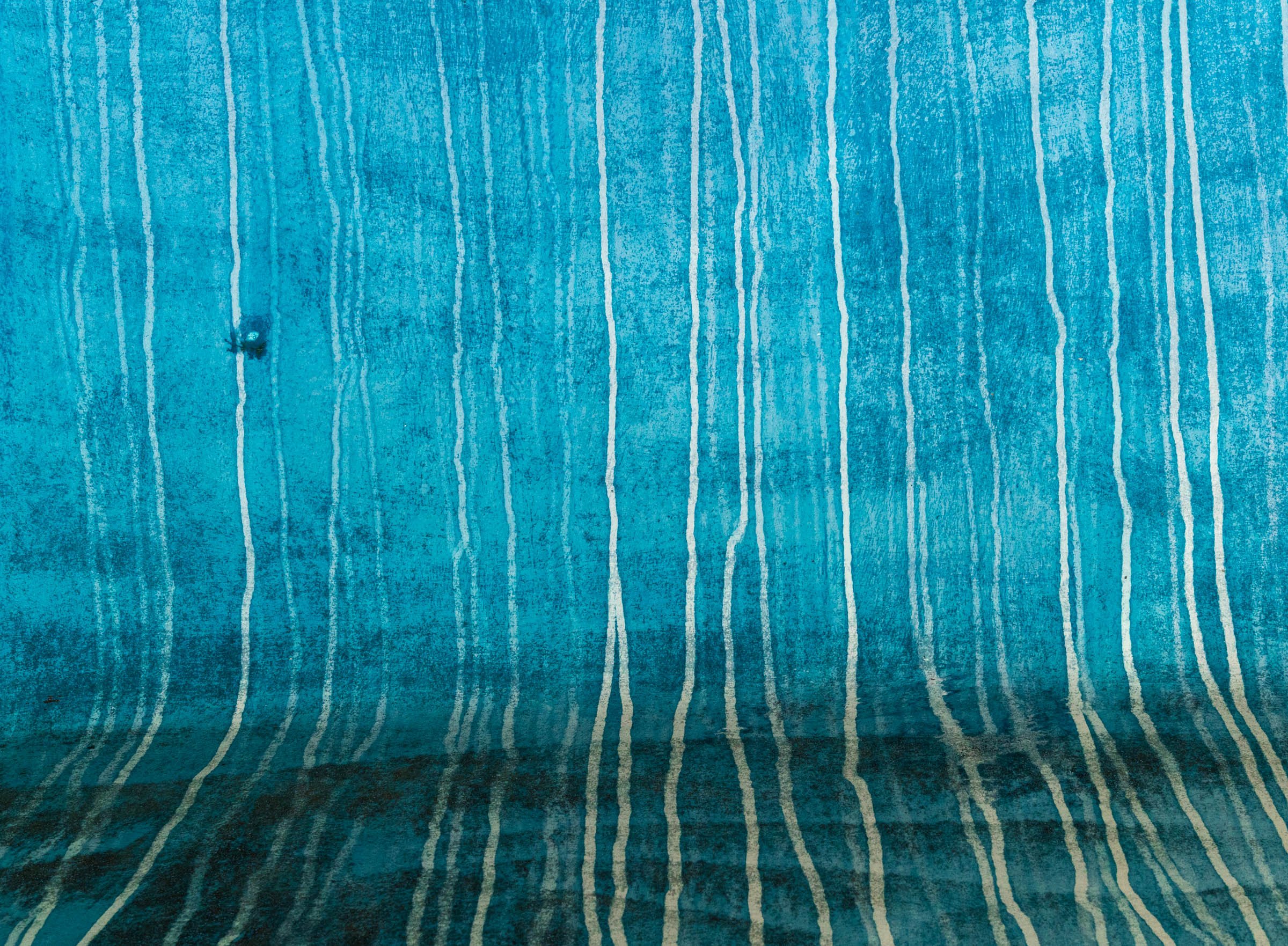 My Favorite Images from 2025