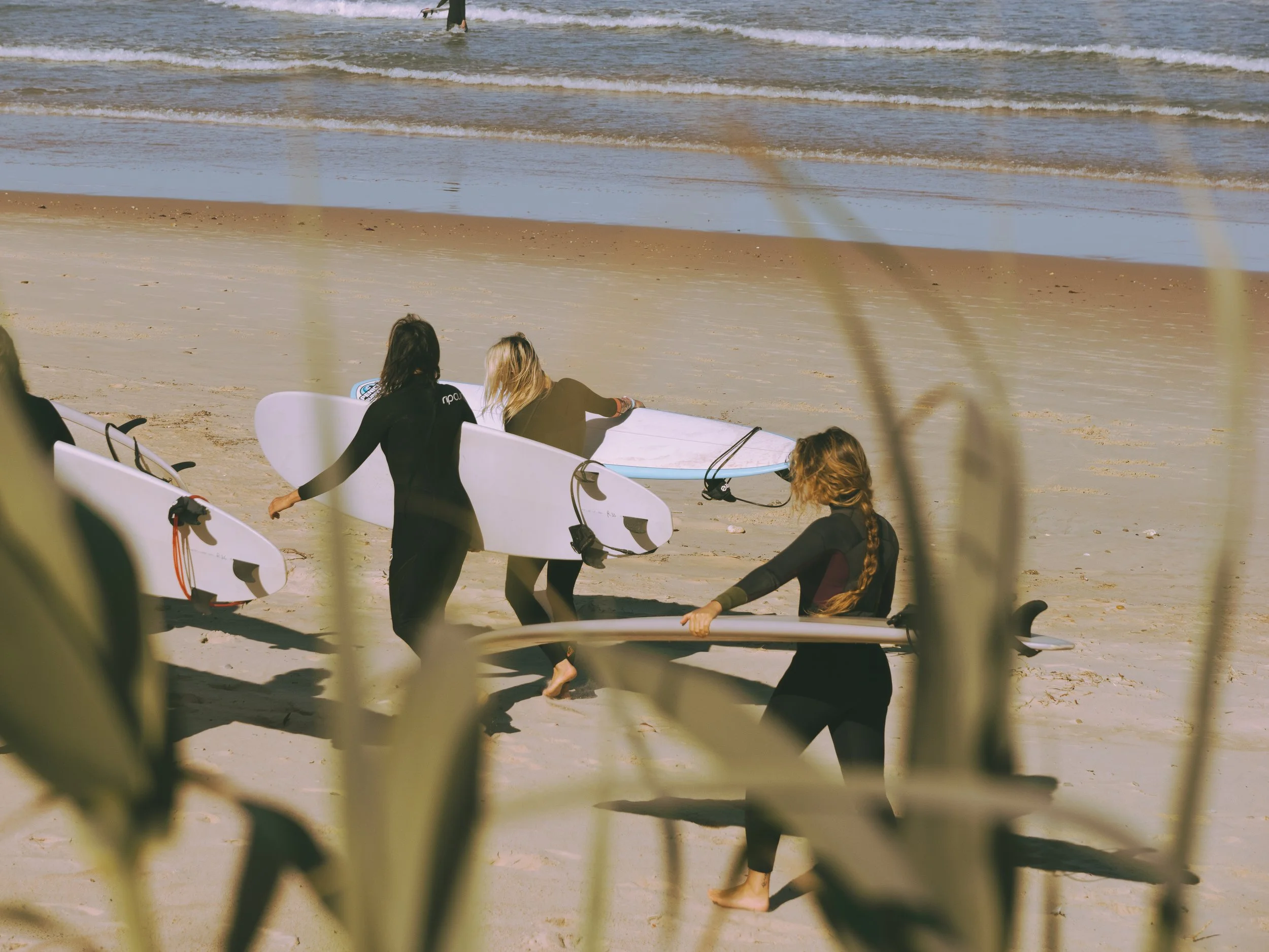Three women carrying surfboards walking on the beach near the ocean, framed by beach grass in the foreground.