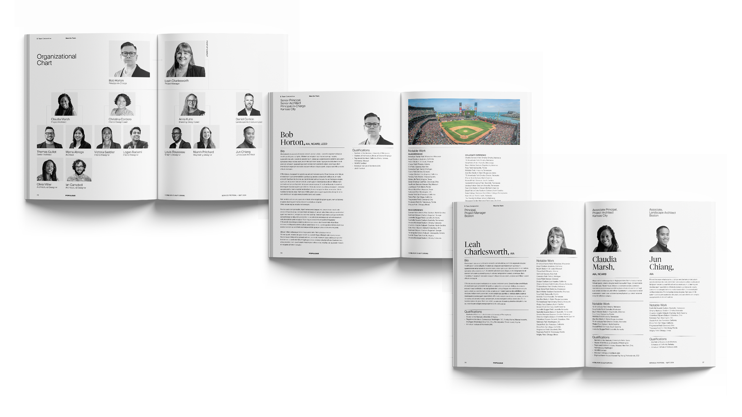 pop brand refresh_web graphics8.png