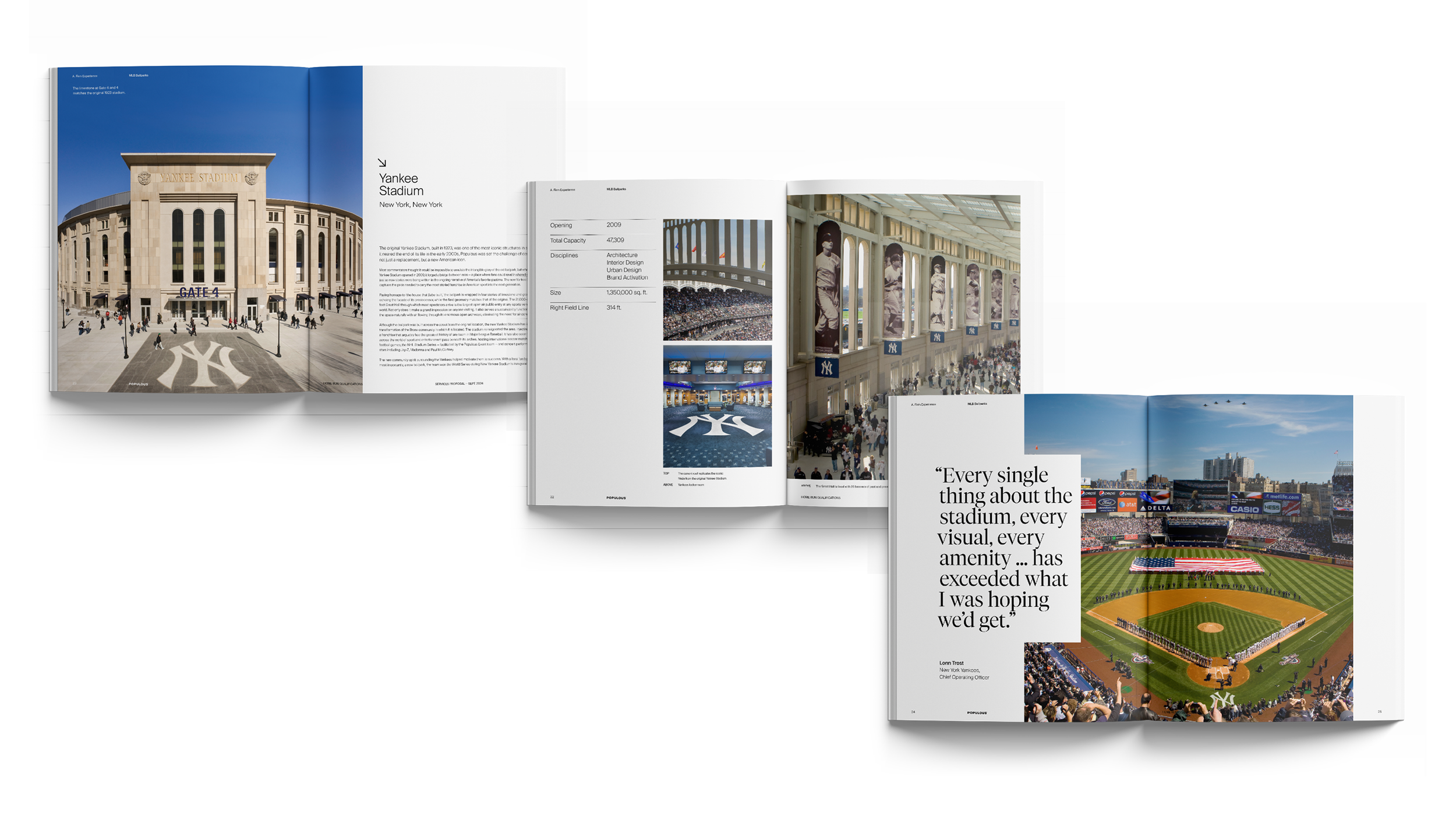 pop brand refresh_web graphics7.png