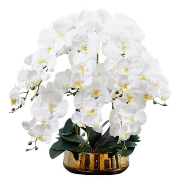 A potted white orchid plant with multiple blooms in a gold-colored pot.