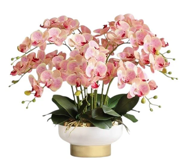 Pink orchid flower arrangement in a white and gold ceramic pot.