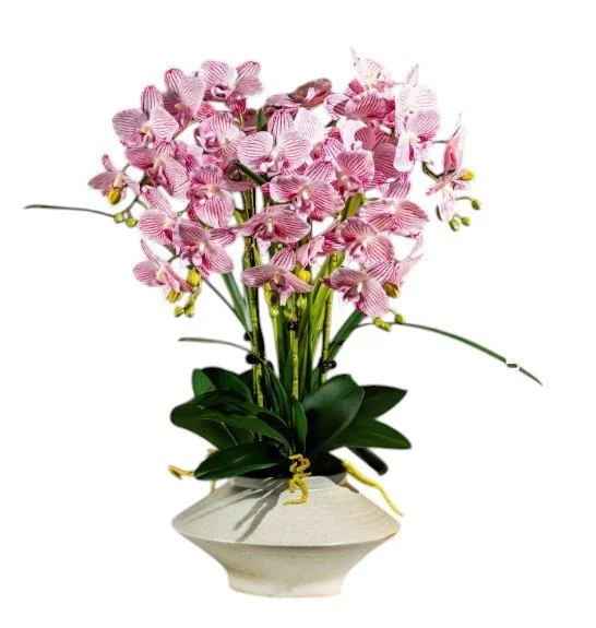 A decorative arrangement of pink and white orchids in a white ceramic vase