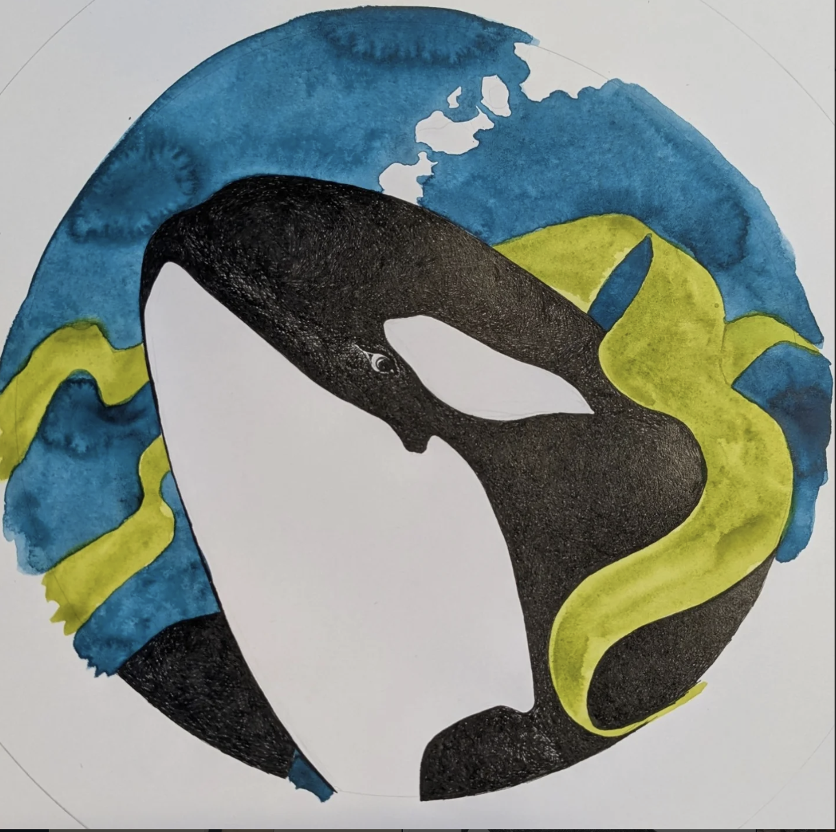 Curated Art in the Community - Gallery Display Featuring Local Artist Sarah Crumb