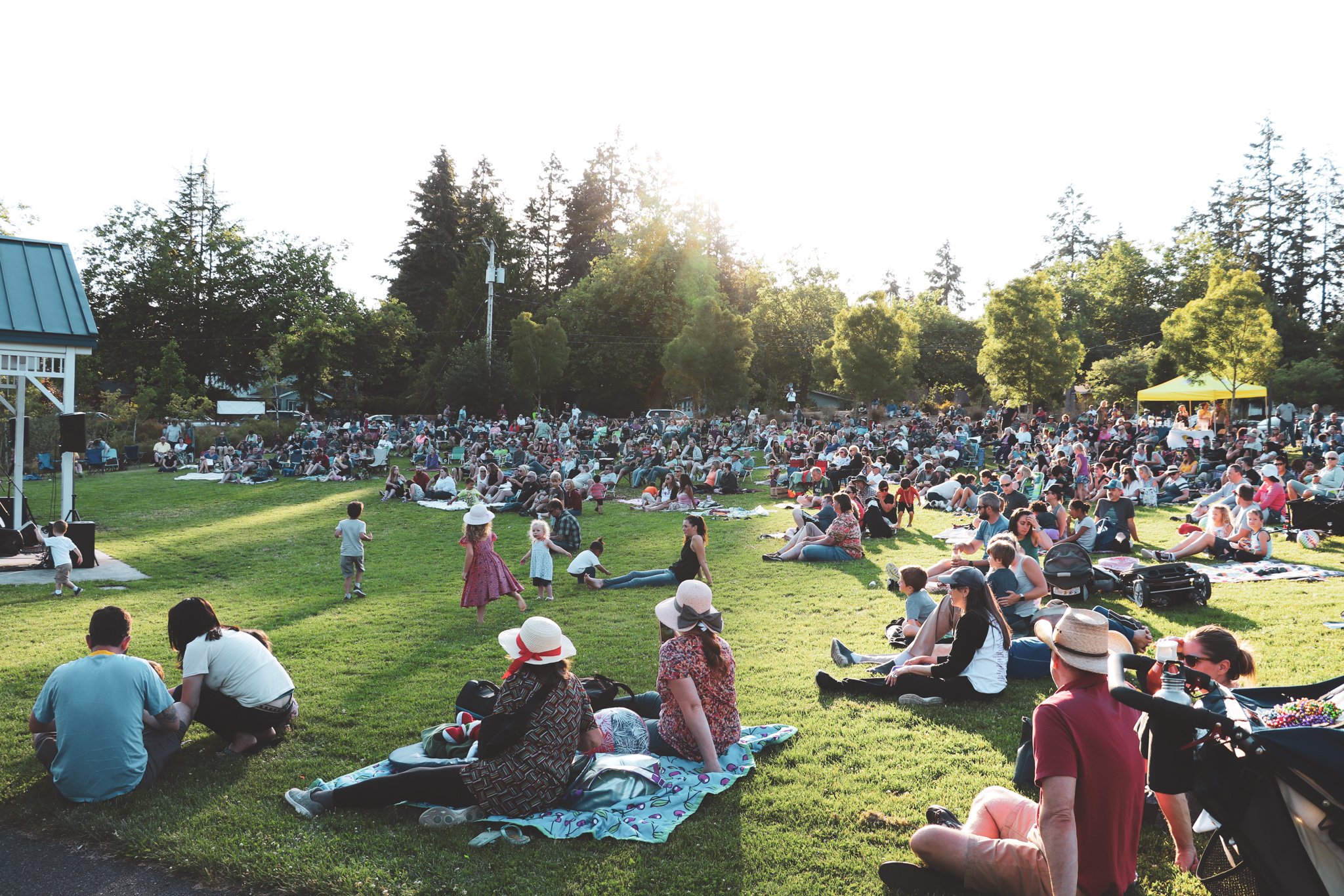 Concerts in the Park Crowd.jpg