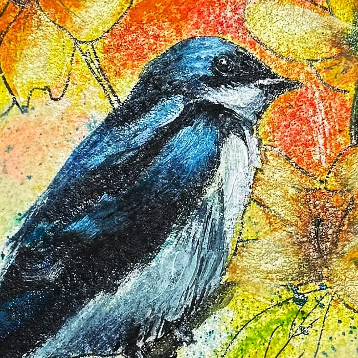 tree swallow2 close up1.jpg