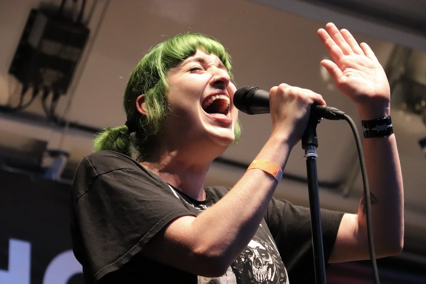 BOTB singer.png