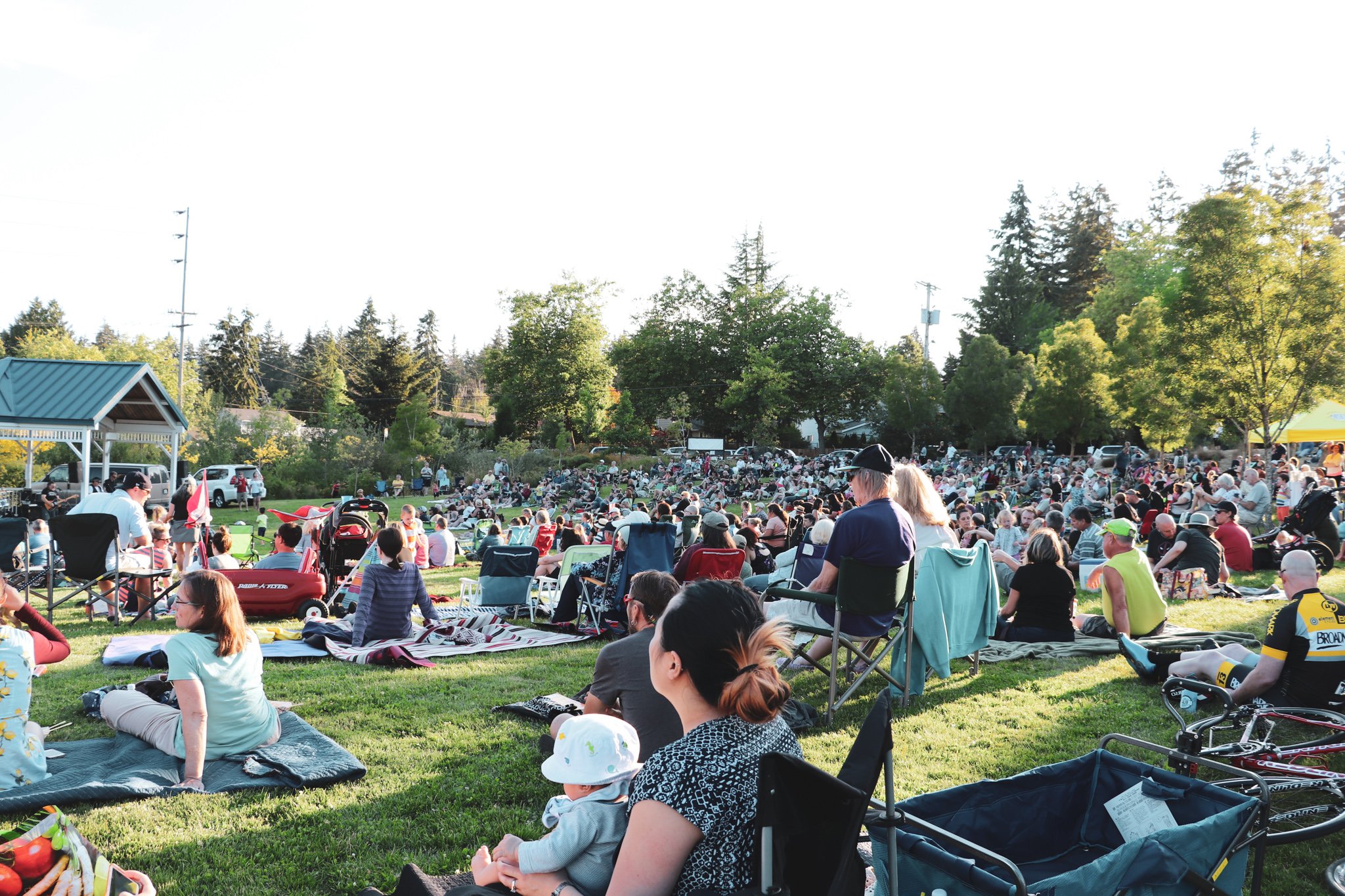 Concerts in the Park Crowd 2.jpg