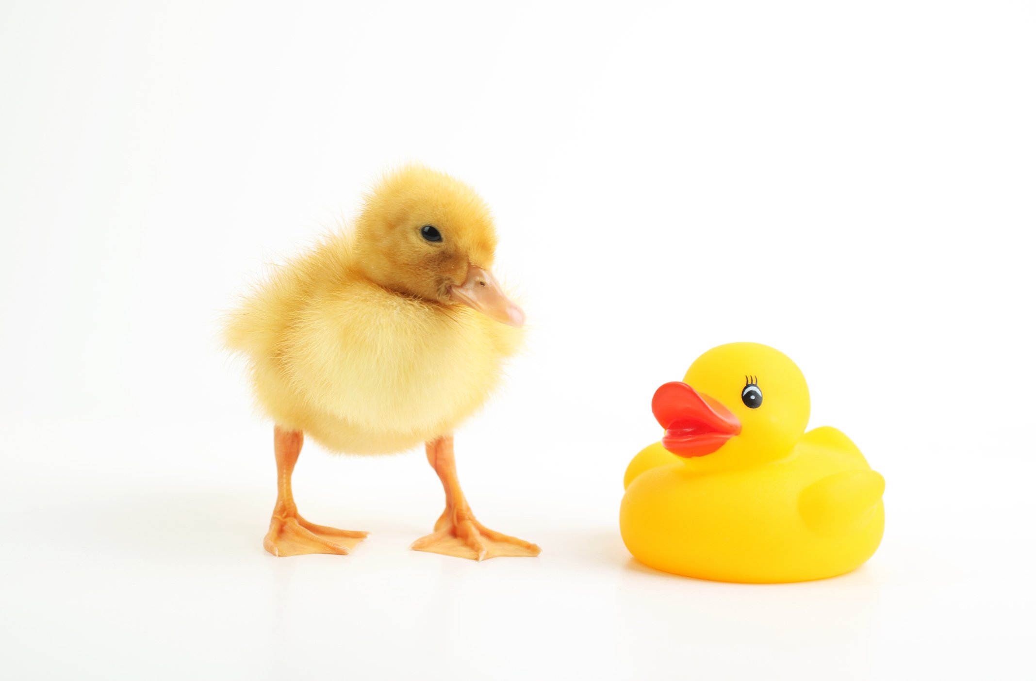 The Authenticity Paradox