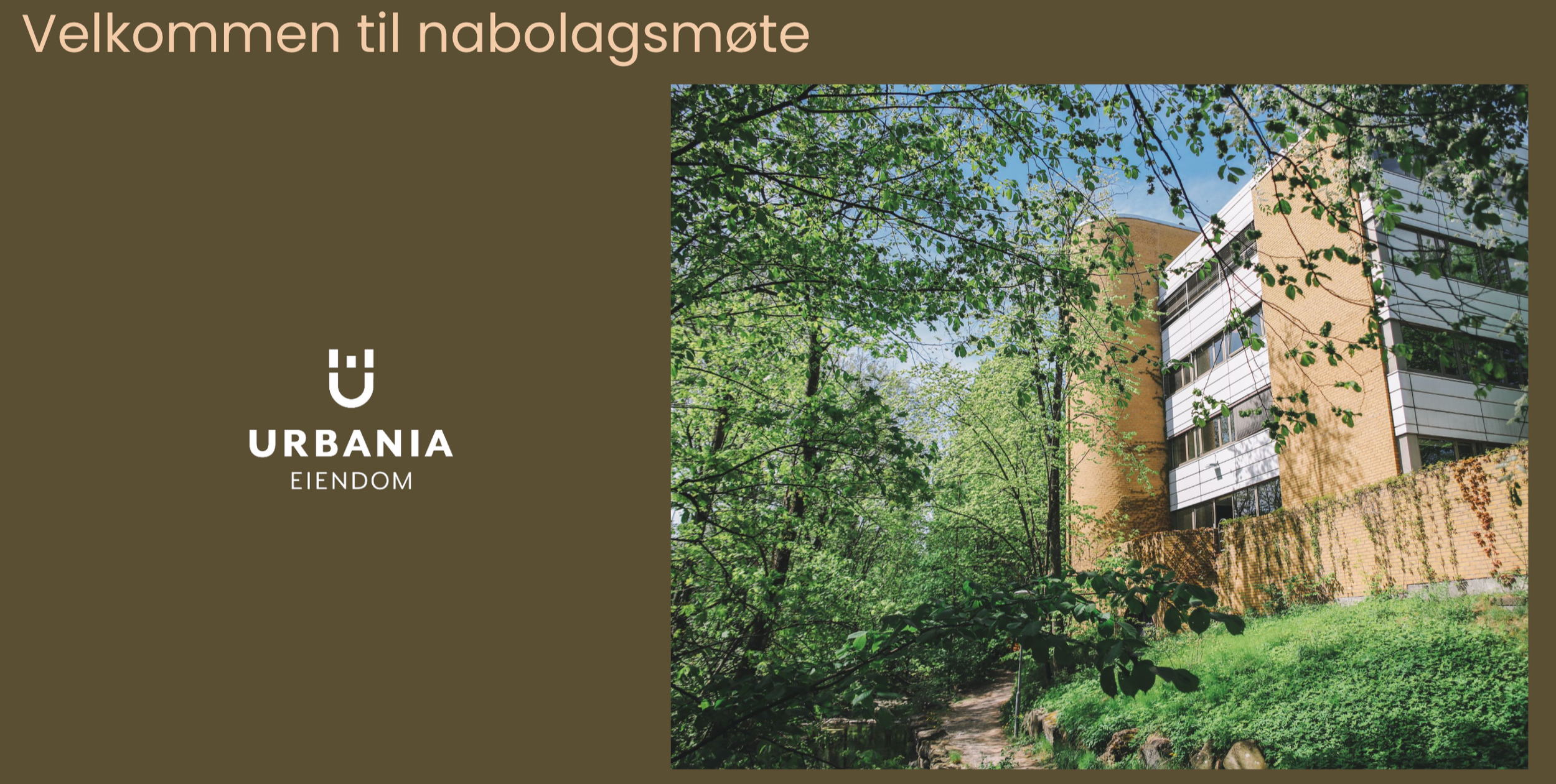 Oppsummering fra nabolagsmøtet