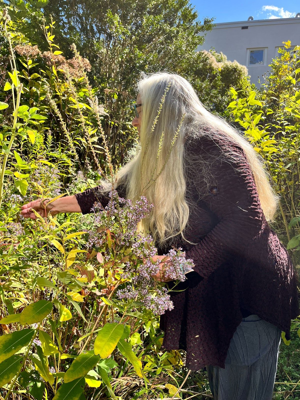 Reaping What We Have Sown