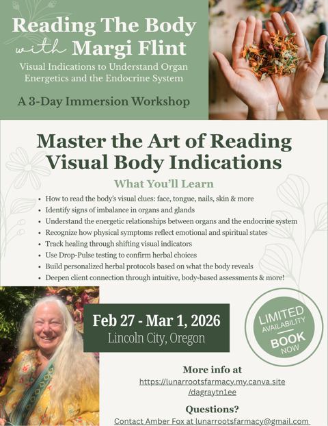Reading the Body – Organ Energetics & the Endocrine System