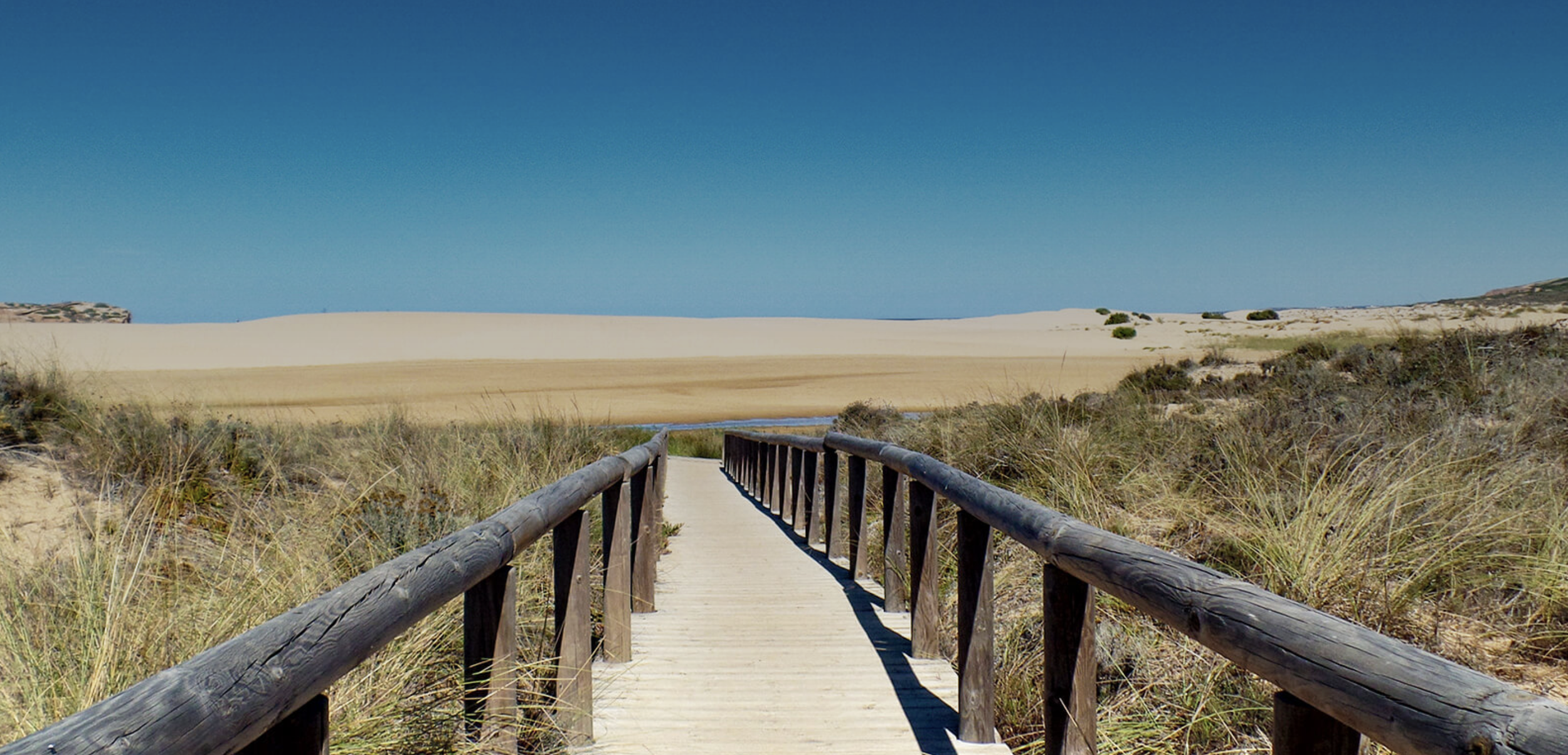 Clinical Studies Immersion in Southern Portugal 