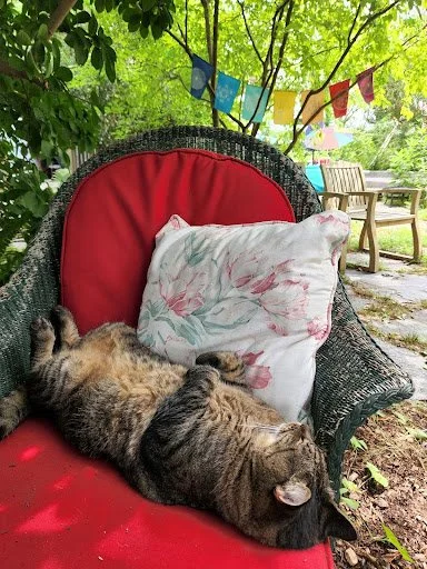 Deep Snows and the Comfort of Home