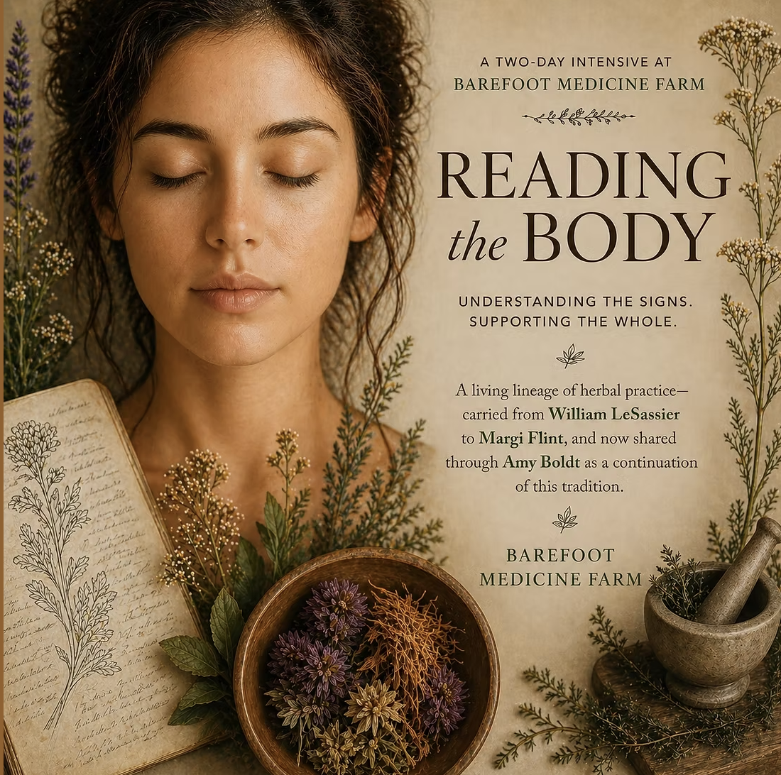 Reading the Body: Learning the Language of Health - 2 Day Workshop