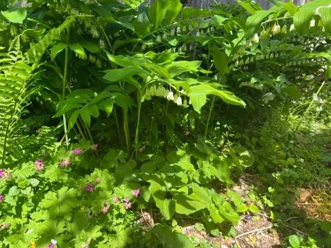 Oh, Delicious Spring!