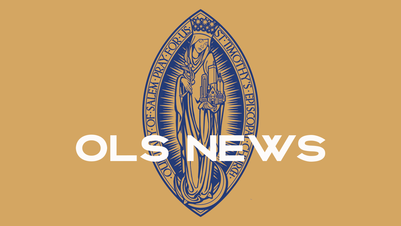 Volunteer Opportunities for the week of December 1