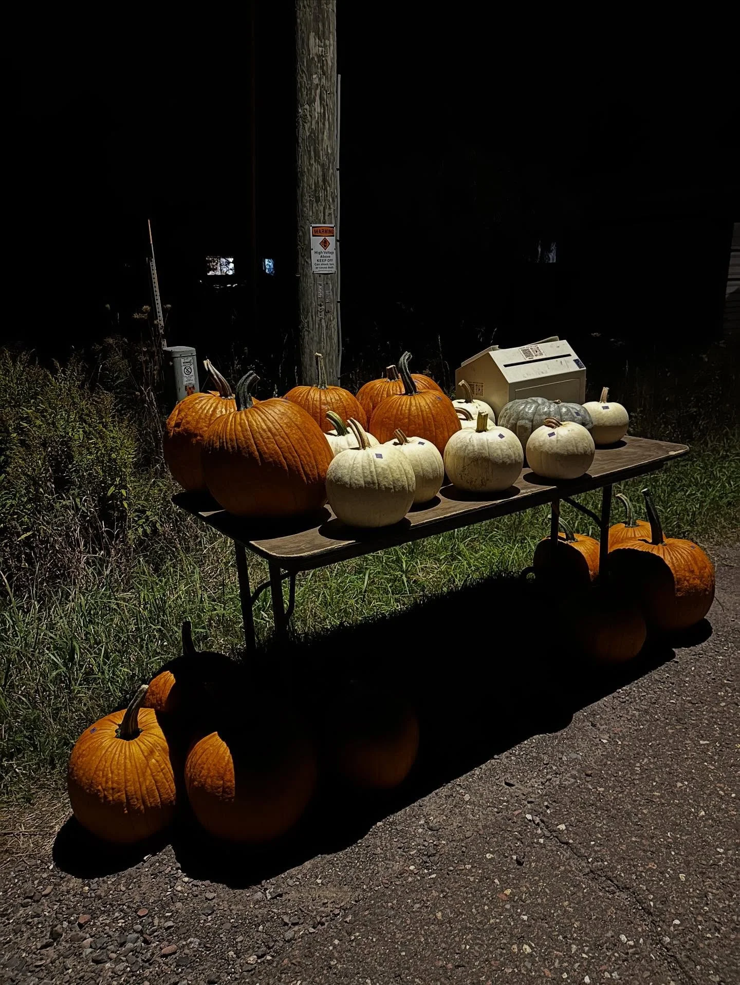 Roadside pumpkins 🎃 Swing by the farm and get yours!