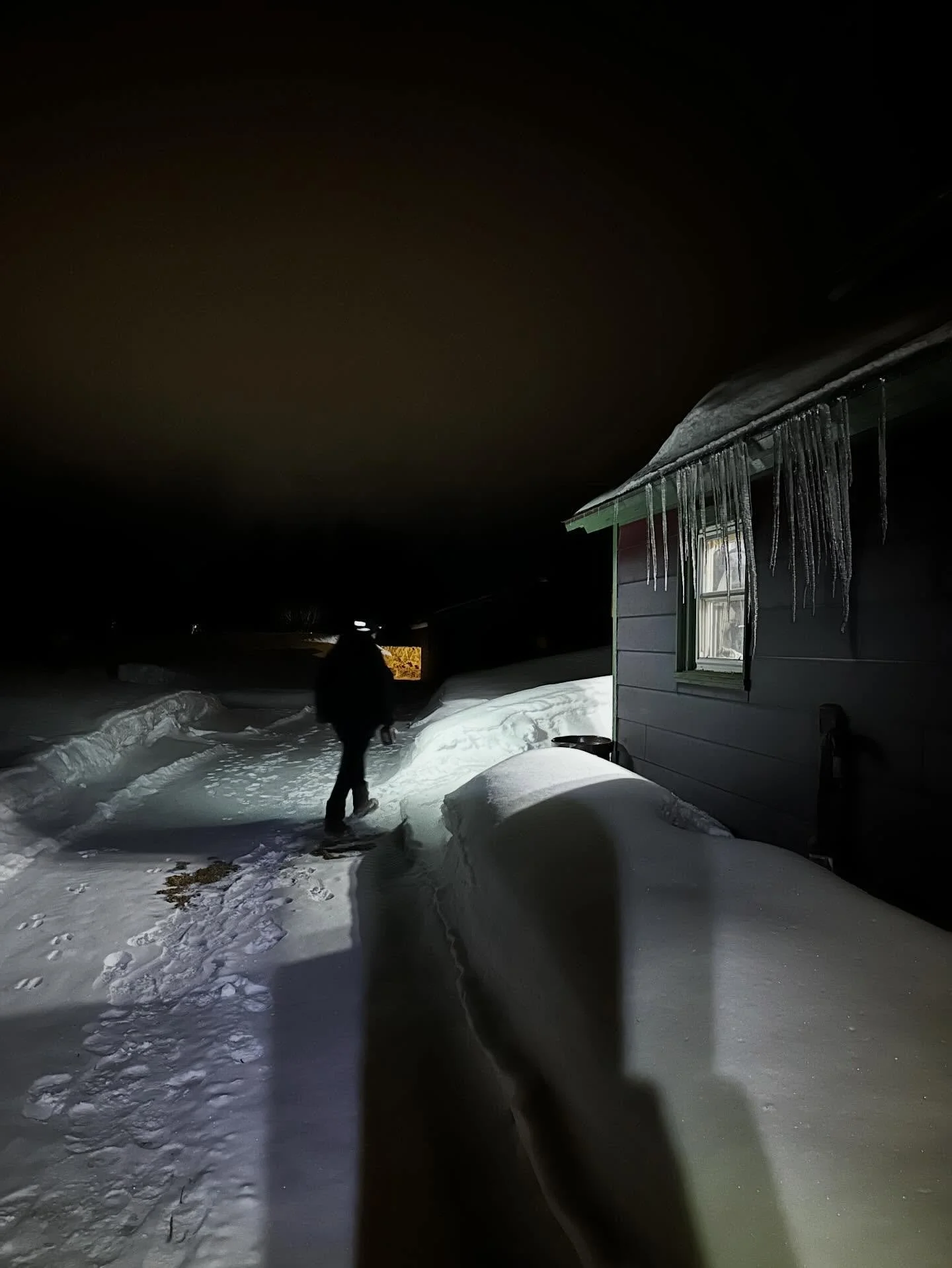 One day you&rsquo;re harvesting greens. Then you&rsquo;re traveling for a cool ag conference. The next you&rsquo;re presenting in cute clothes, followed by an extra long night rescuing your goat you found blind and tangled in tree with a thiamine def