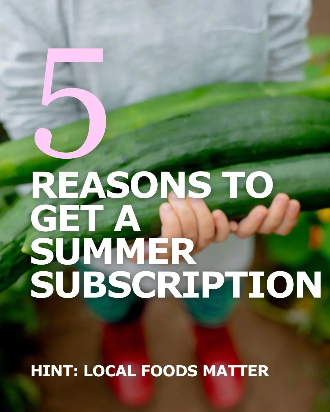 For every $1 spent at a big box retail store, a farmer gets 15 cents on average. When you buy a subscription, or veg at the farmers market, not only does all that money stay local, but there is a multiplier effect that turns into 2-4x more local doll