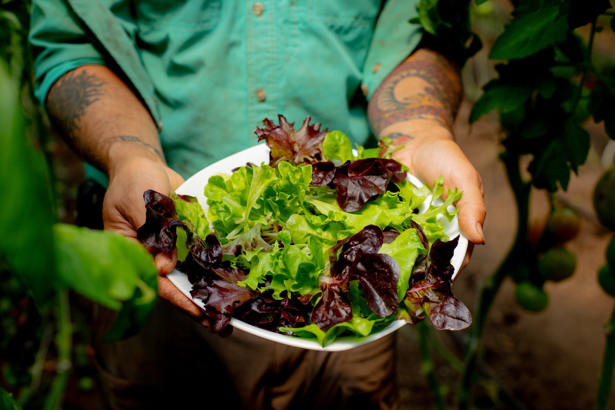 This season, we are partnering with local recipe developer and author Cynthia Hodges through our work share program to share some of her favorite recipes throughout the season. Here is her first recipe&hellip; 

🌿🥗✨

Salad dressings are simple to m