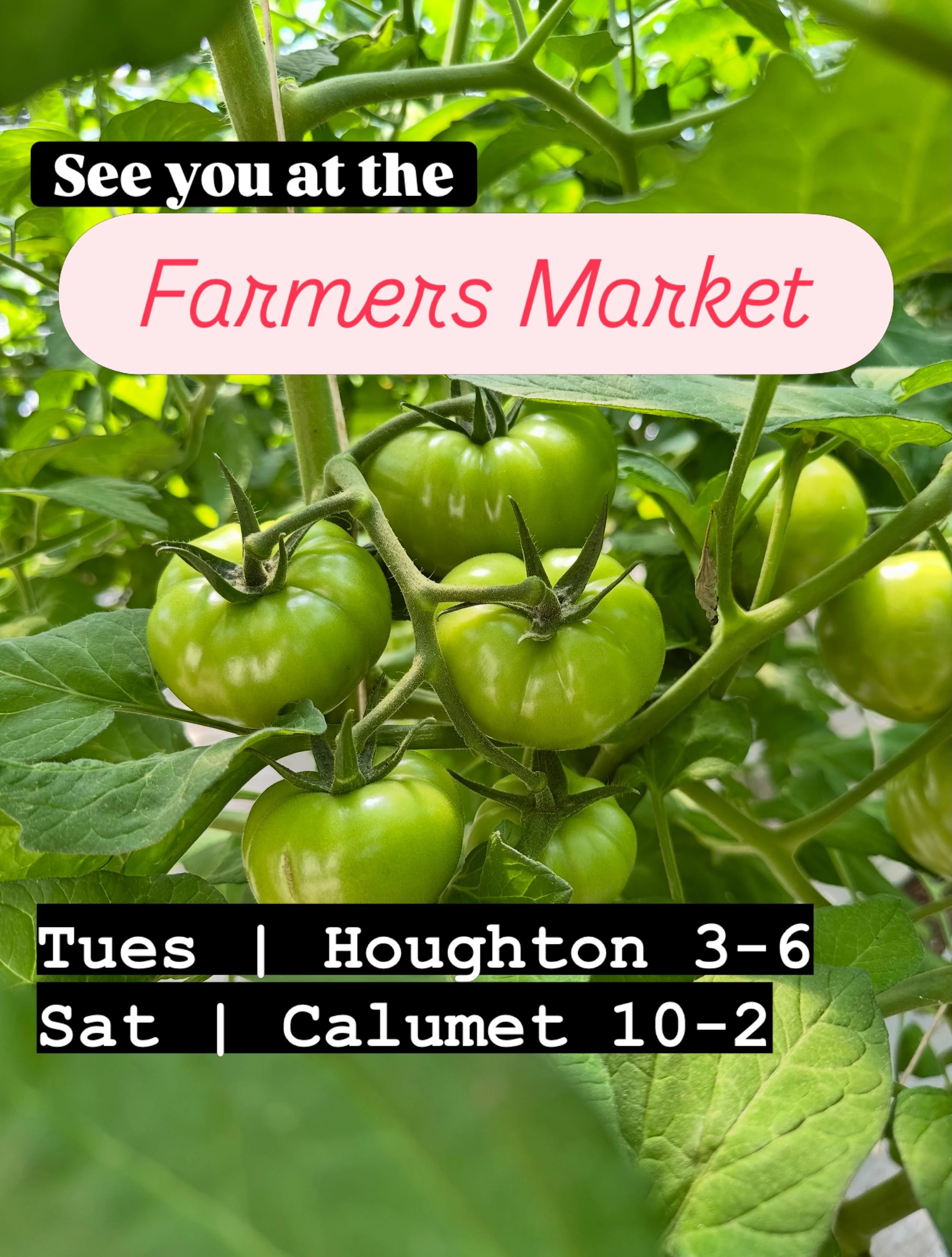@fromthegroundfmc @calcityfarmmarket @houghton_farmersmarket