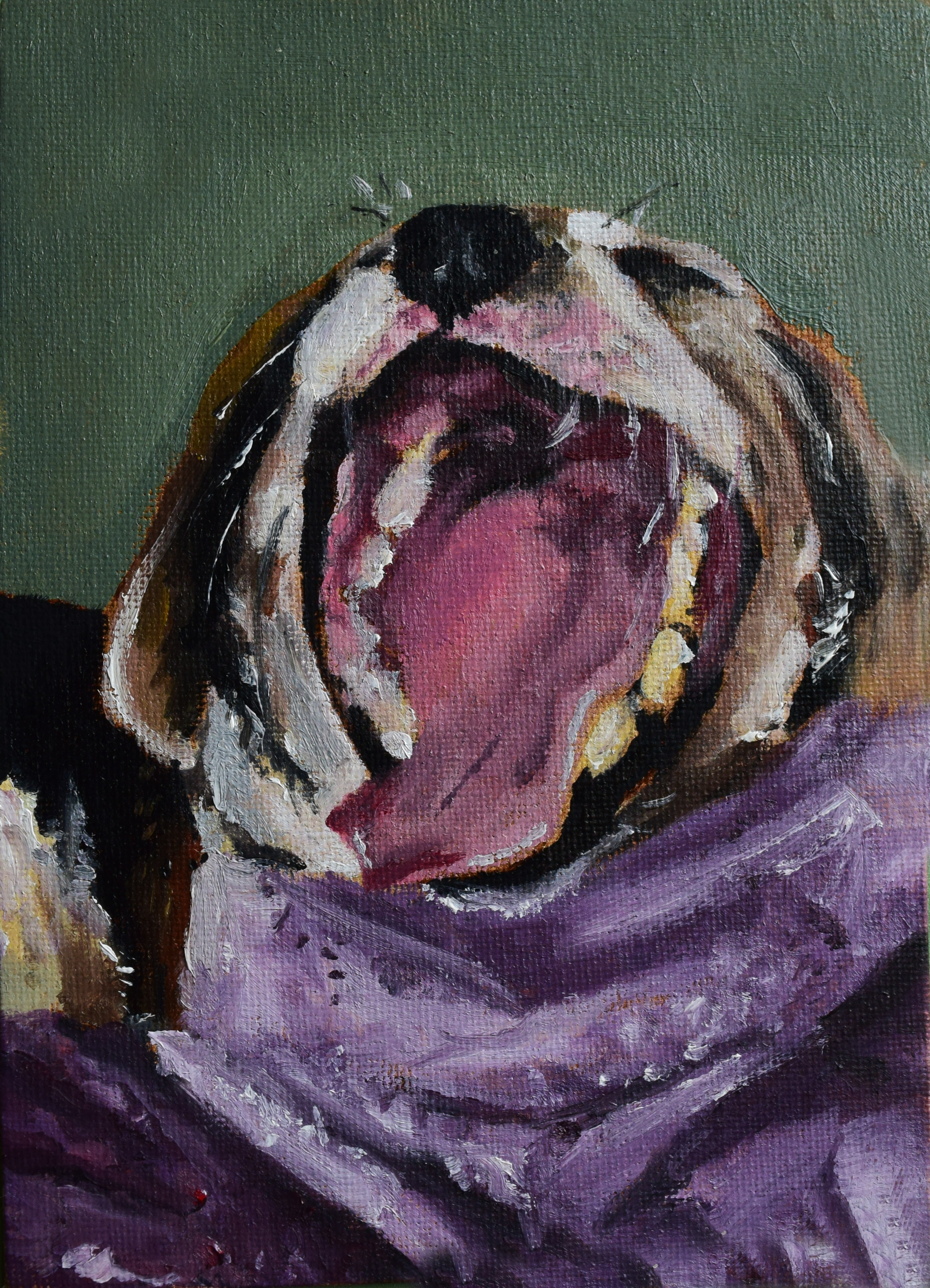 Fisheye Peach (2023) Oil on canvas panel, 5 x 7 "