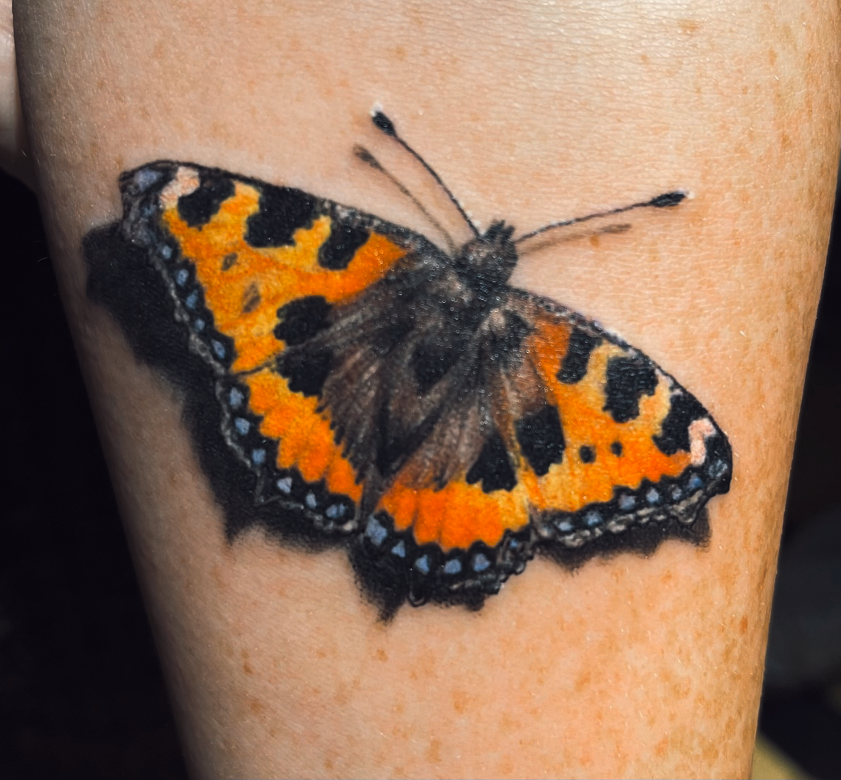 Small Butterfly Tattoo tattooed by Rico Schinkel
