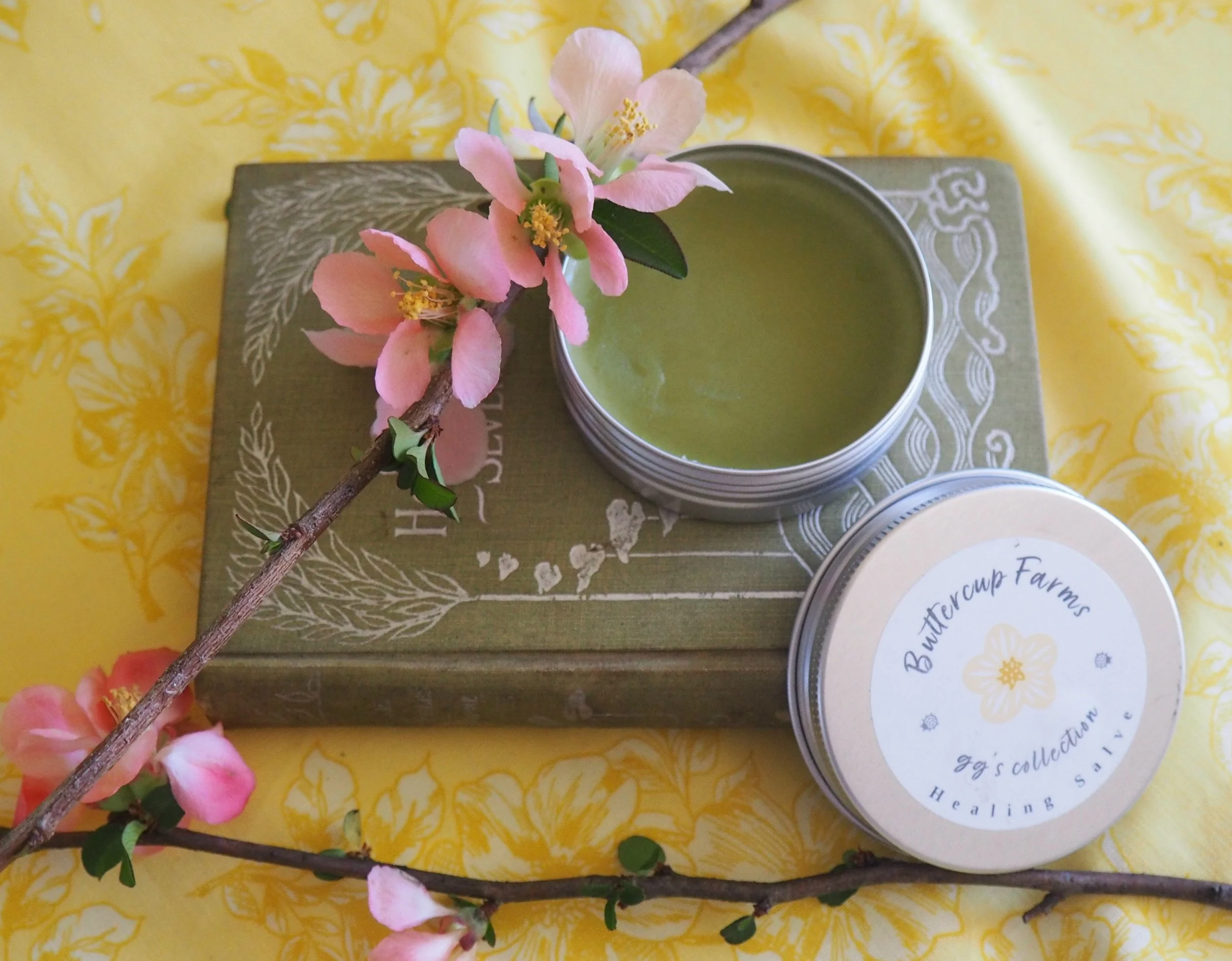 Healing Herb Salve 2 oz.