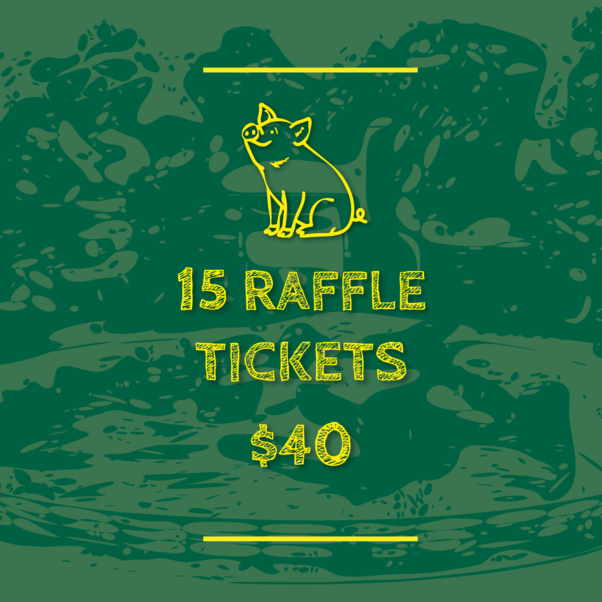 15 Raffle Tickets