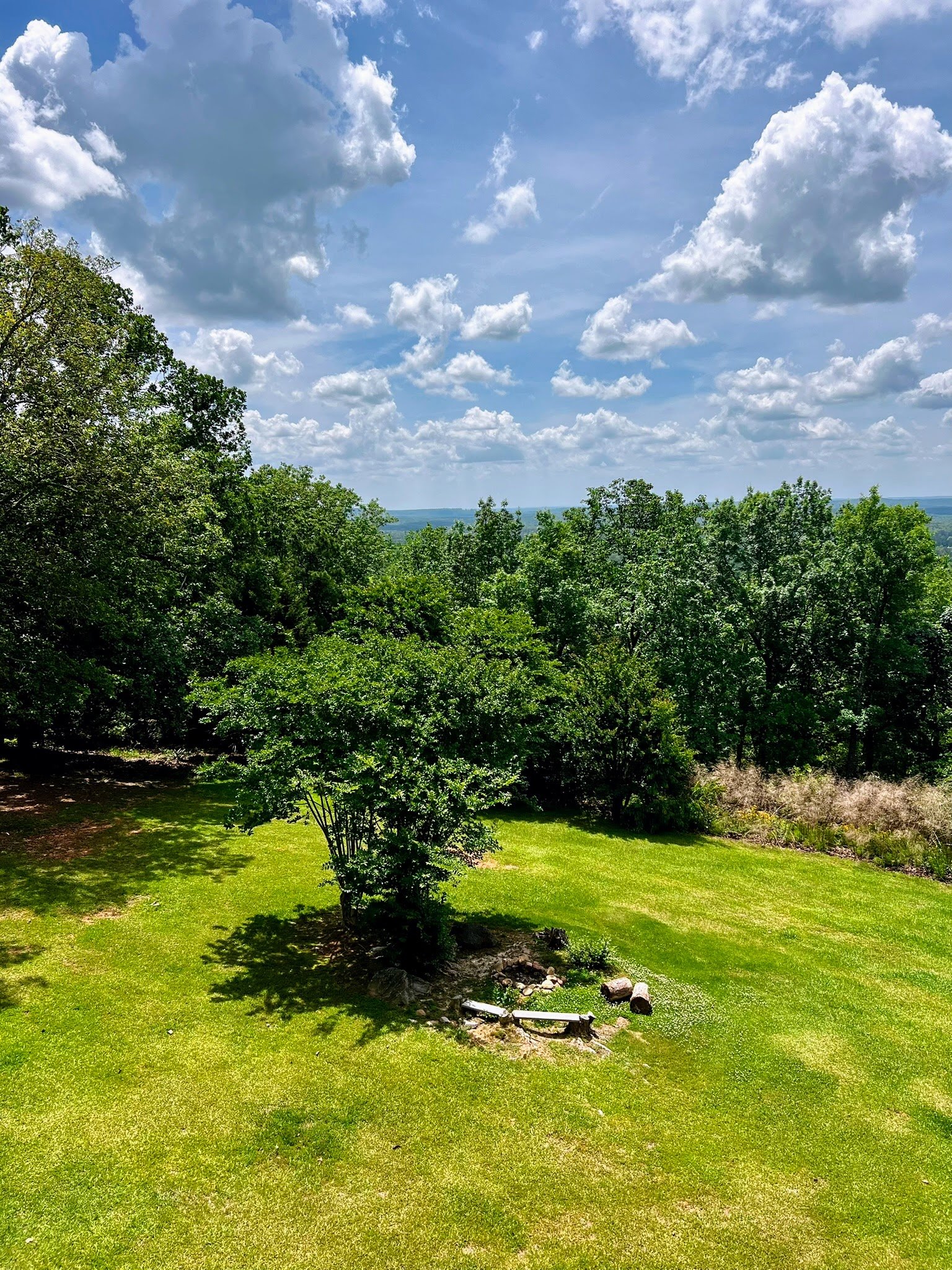 A scenic view of a grassy yard with a small tree and a stone seating area. In the background, lush green trees and a blue sky with white clouds are visible.
