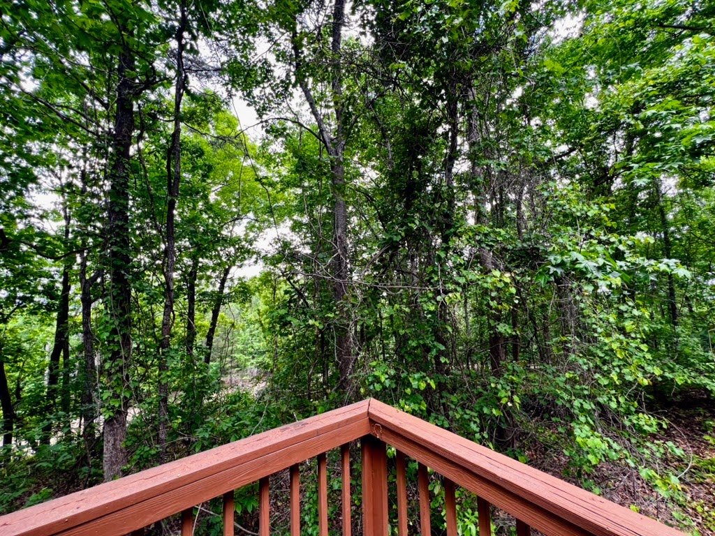 Wooden deck railing with view of dense green forest featuring tall trees and lush foliage.