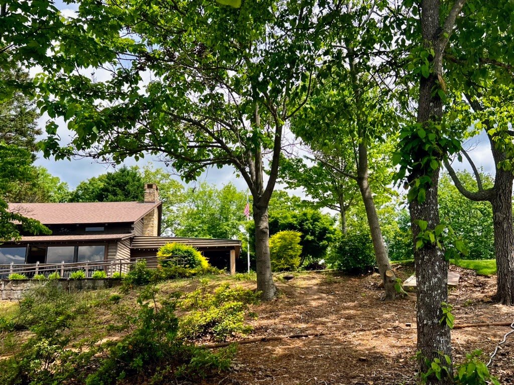 A rustic house surrounded by lush green trees, with a sloped yard featuring various plants and shrubs. The house has a chimney and wooden exterior, creating a cozy atmosphere. A clear blue sky is visible through the tree branches, enhancing the seren