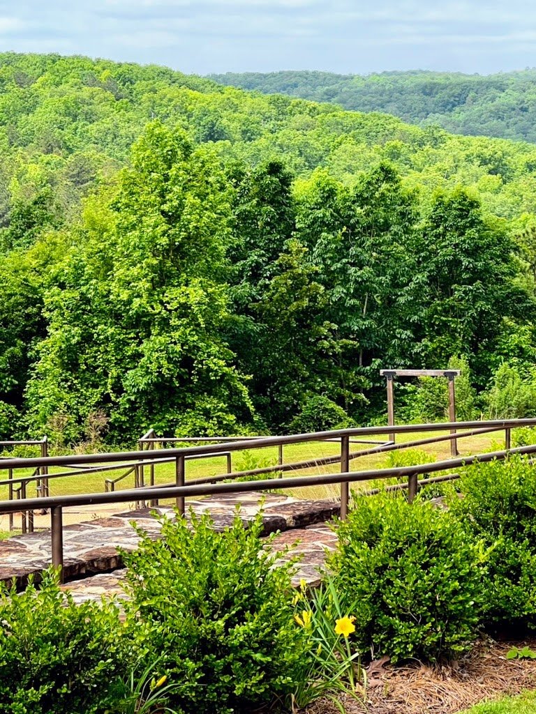 Scenic view of lush green forest with a walkway and railing, surrounded by bushes and yellow flowers.