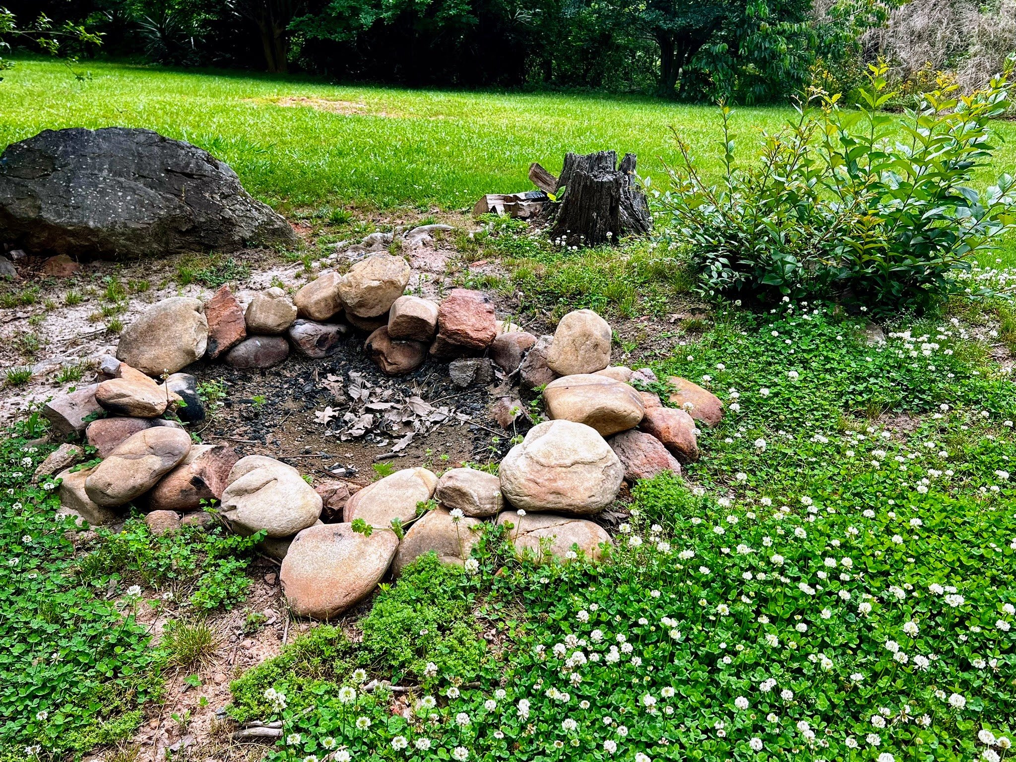 Outdoor fire pit encircled by stones, surrounded by grass and clover, with a tree stump nearby in a natural setting.