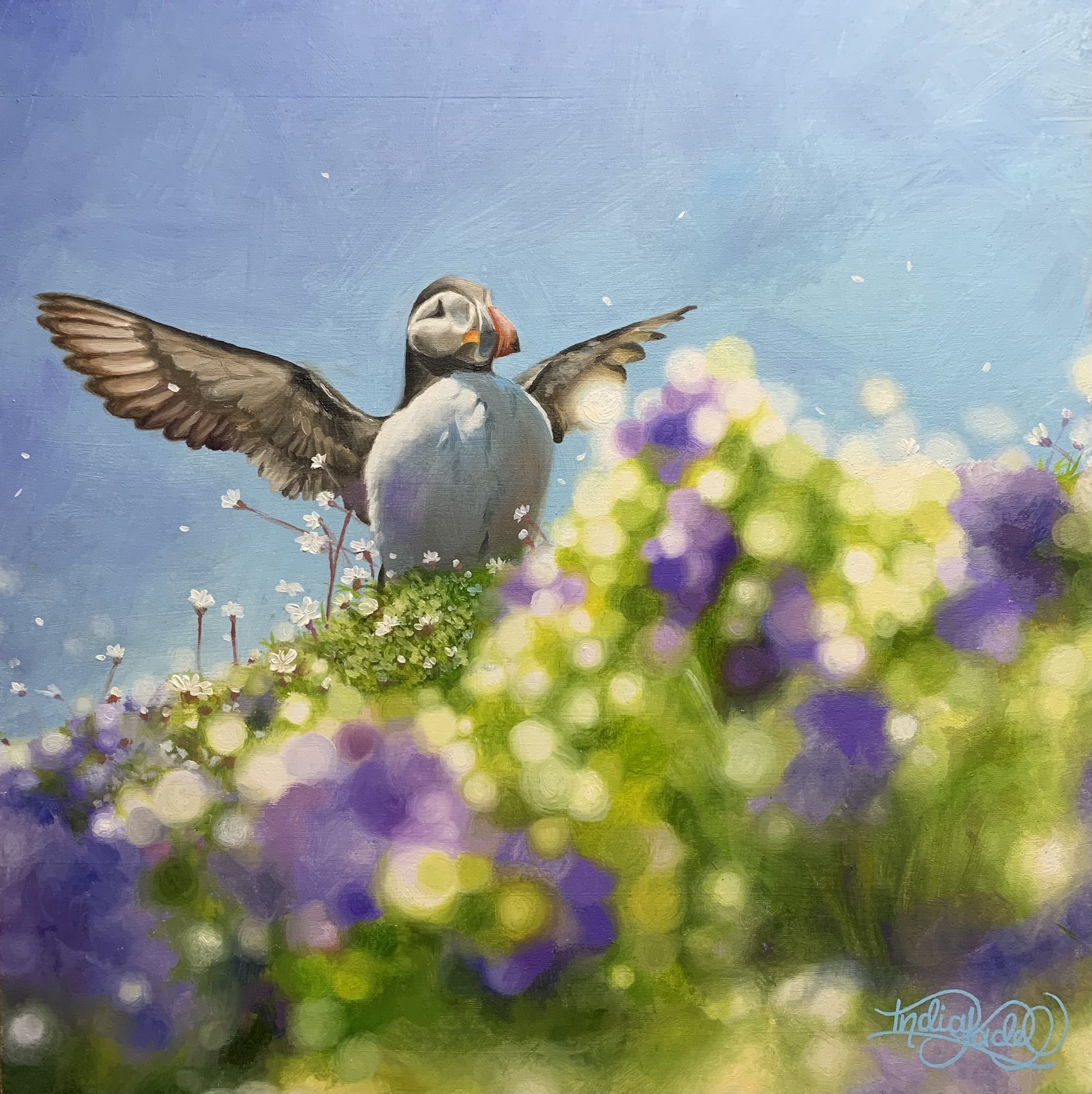 The Joy of a Puffin