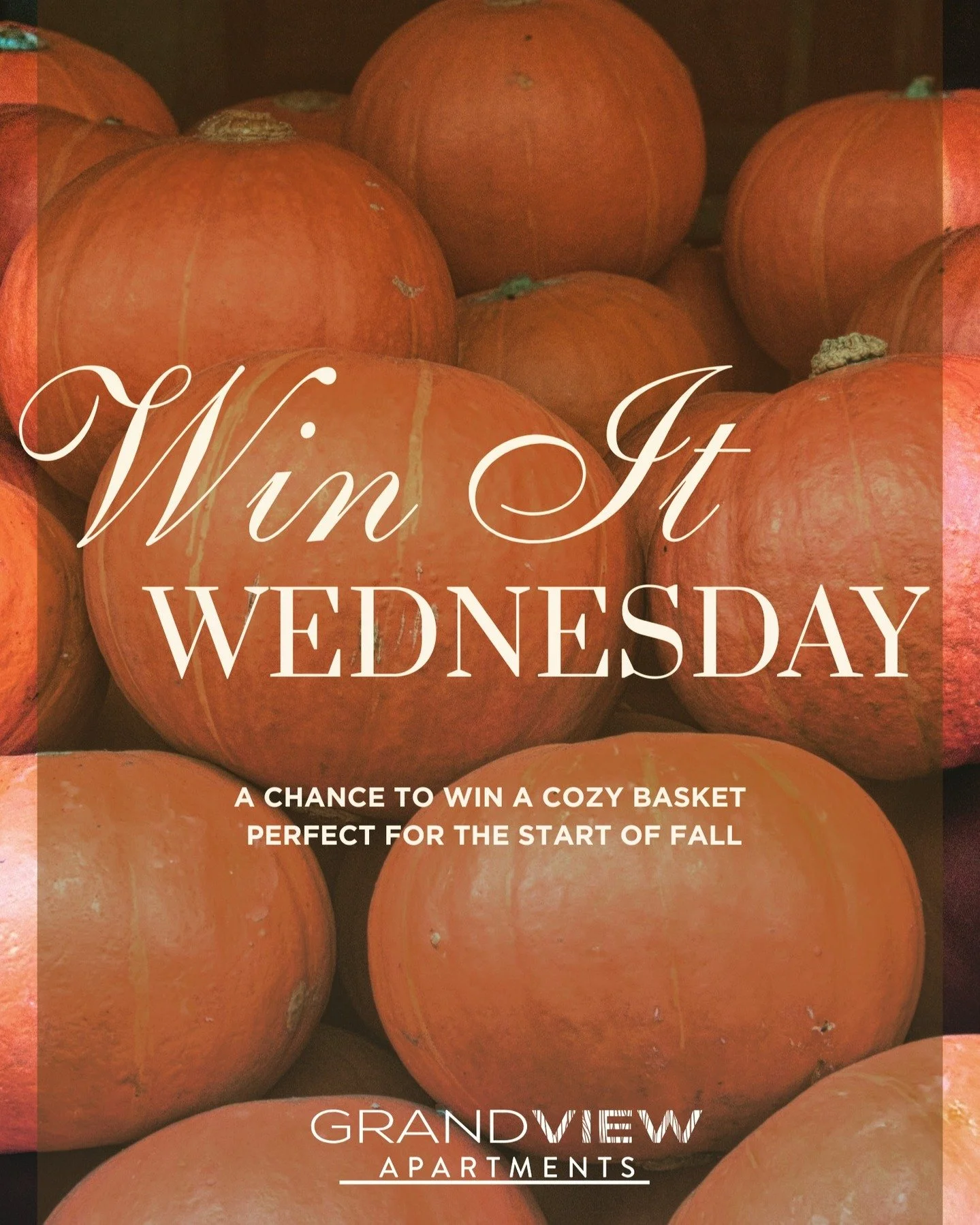 Win It Wednesday!!! Fall Basket 🎃🏈
How to enter:
1️⃣ Follow @grandviewapts614
2️⃣ Comment your favorite fall activity 
3️⃣ Make sure to tag a friend 
4️⃣Post to your story!!

Winner announced Friday! You&rsquo;ve got until then to enter🍂  #fallsea
