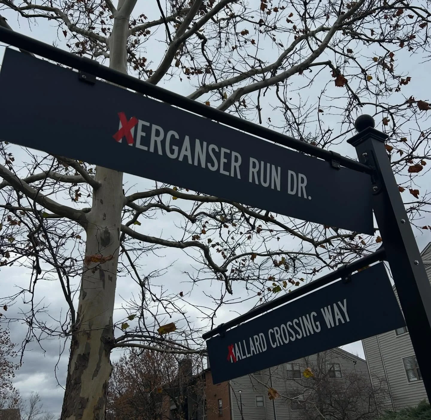 Ga❌e week energy is in full swing at Grandview! ❤️

You ❌ay have noticed the ❌&rsquo;s crossed out around the property &mdash; just our way of showing so❌e Buckeye pride! 😉

Let&rsquo;s bring the hype, cheer loud, and Go Bucks! 🅾️🏈 

#GoBucks #Bea