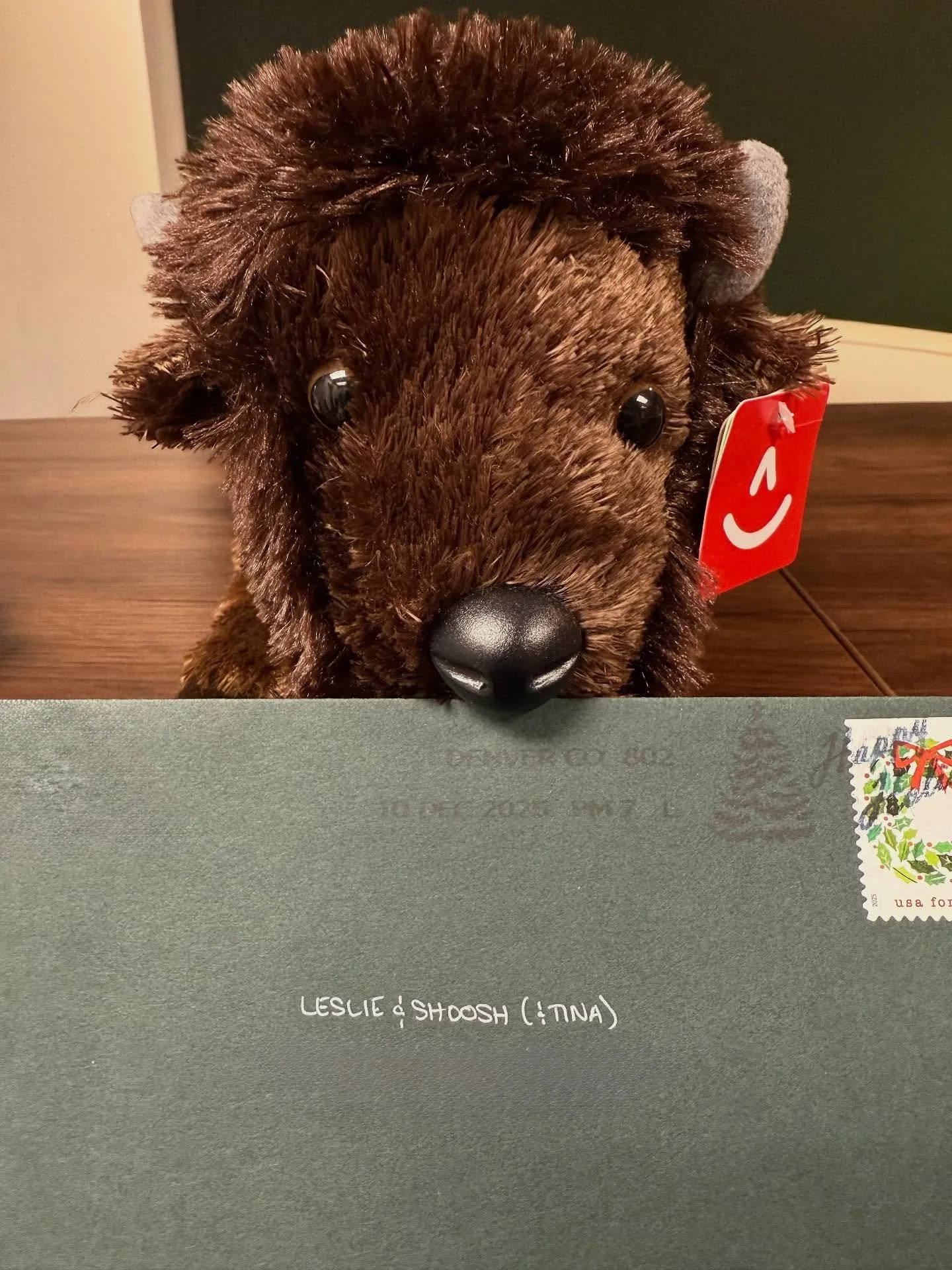 Tina got her first Christmas card delivery this year! 🥺😭 We hope your holiday is peaceful with glimmers of unexpected joys 💚❤️