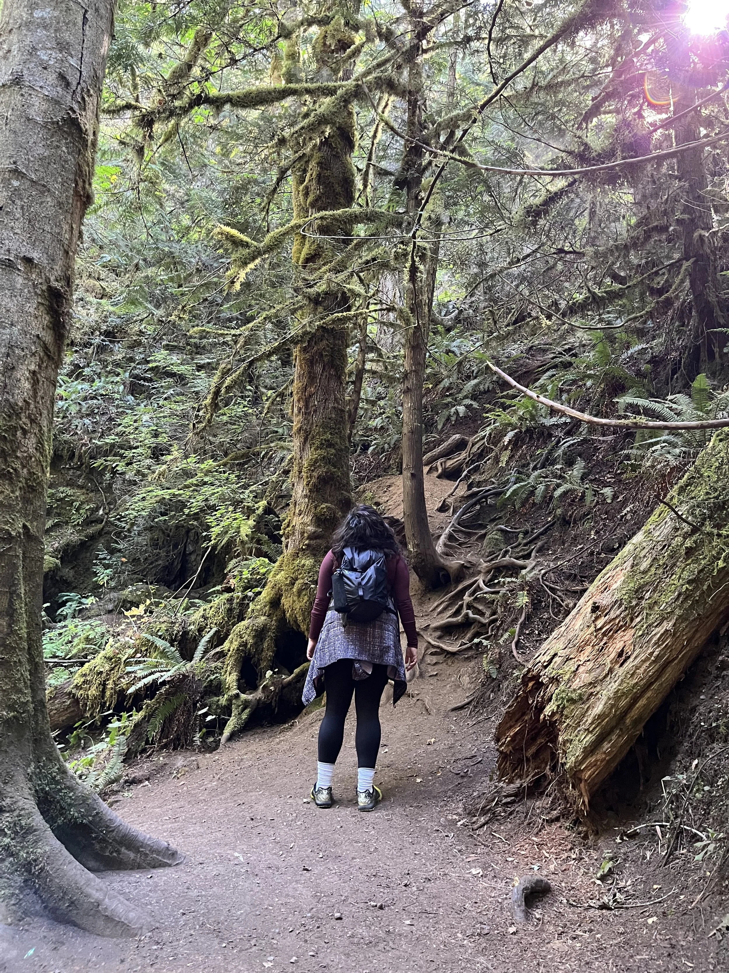 Shoosh hiking on a forest trail as part of an active lifestyle supported by chiropractic care