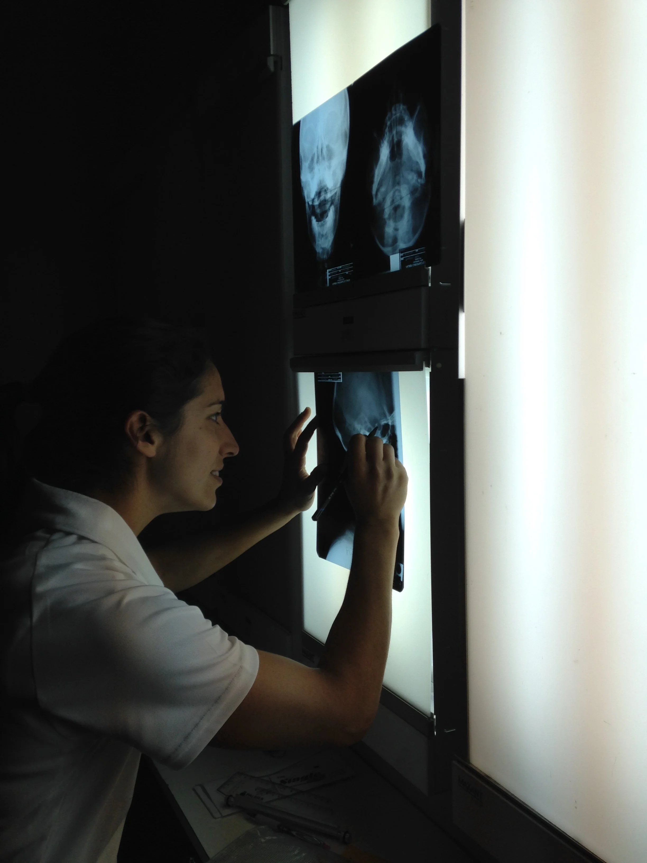 Dr. Leslie as a chiropractic student reading an x-ray