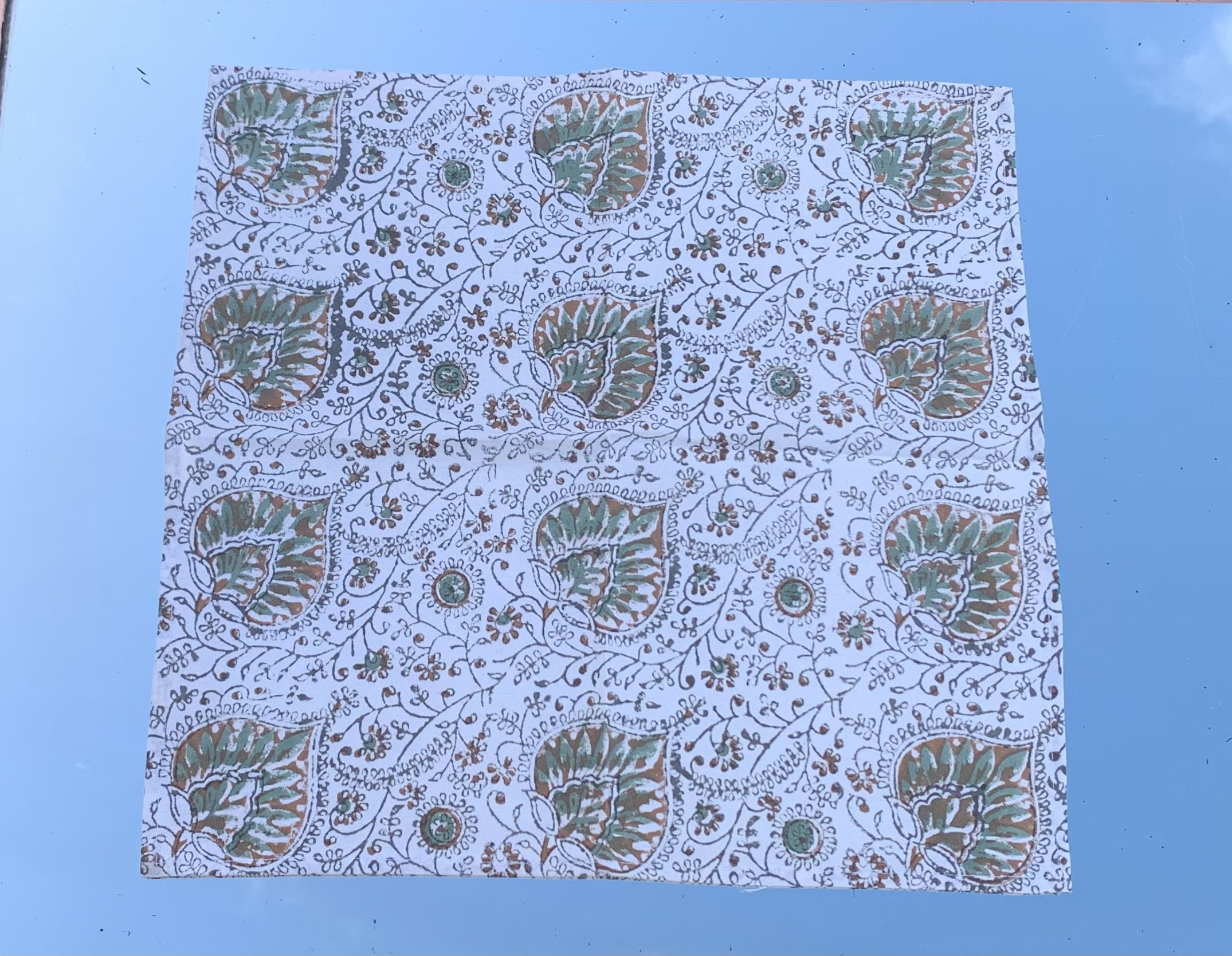 3D5465B8-B02A-406E-A81B-17FDBEADBF88.jpeg