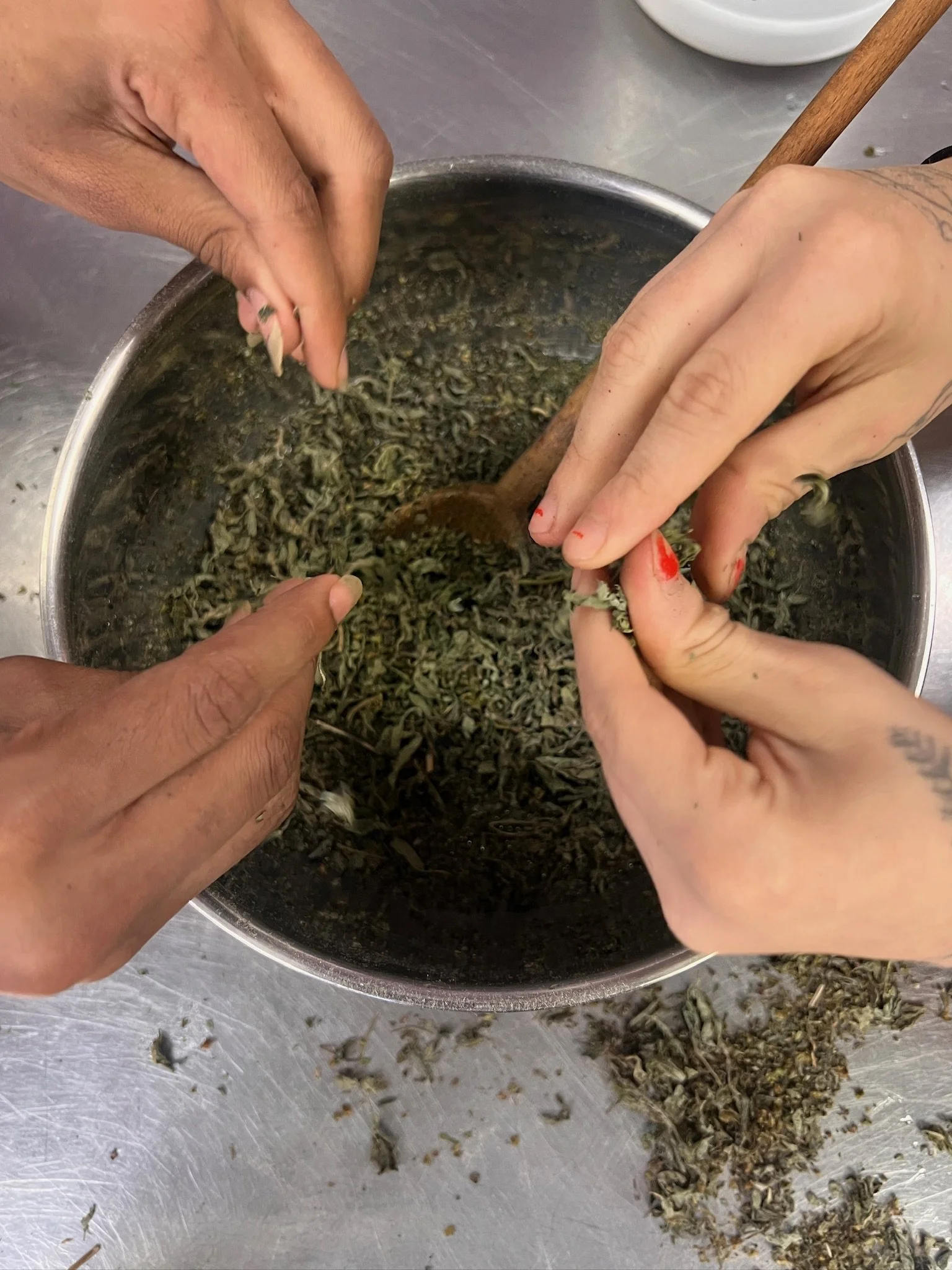 four hands separating herbs in a pot