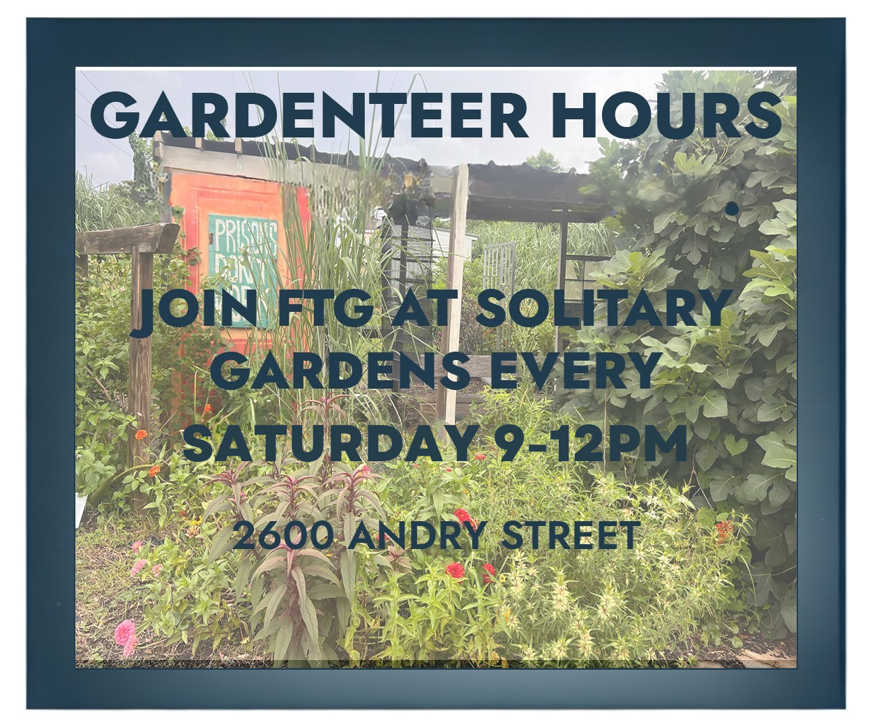 Every Saturday (1).png