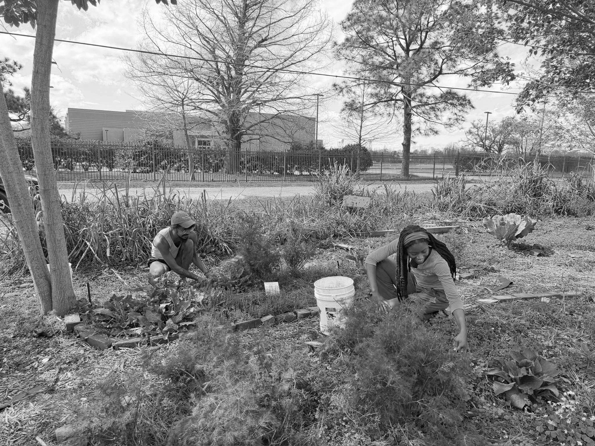 SATURDAY VOLUNTEERS