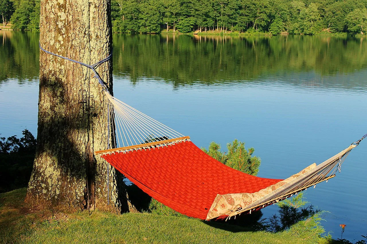 Red hammock tied to a tree by a calm lake with green trees in the background.