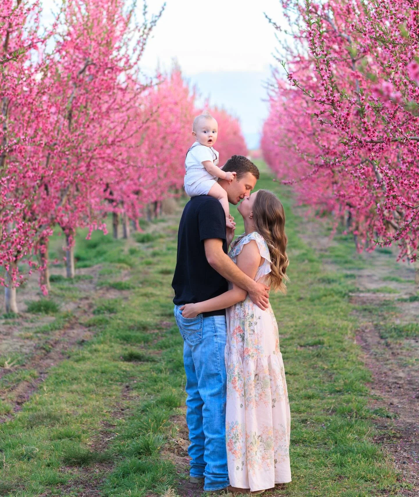 Spring sessions just hit different 🌸
This sweet family + blooming orchard + golden light = pure magic. @cherryhillfarms.idaho @creatememories_photography