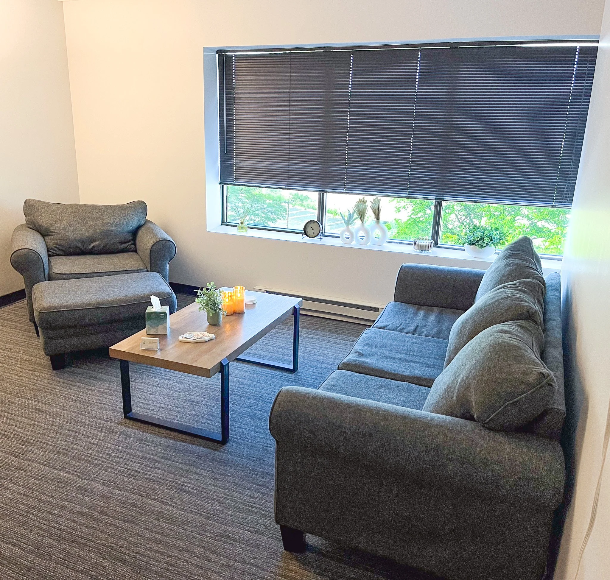 park ridge chicago therapy office
