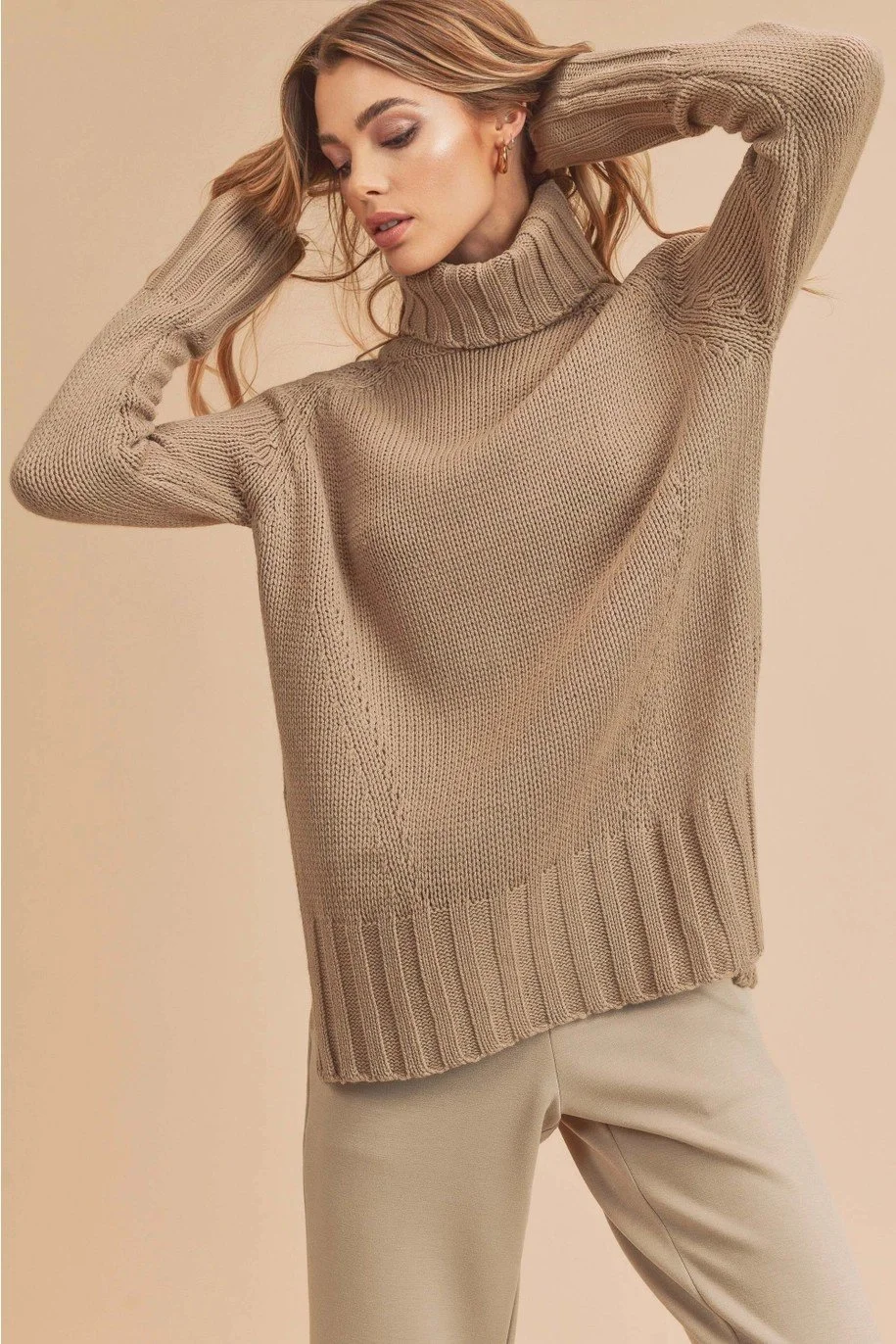 Danica Beige Turtleneck Sweater