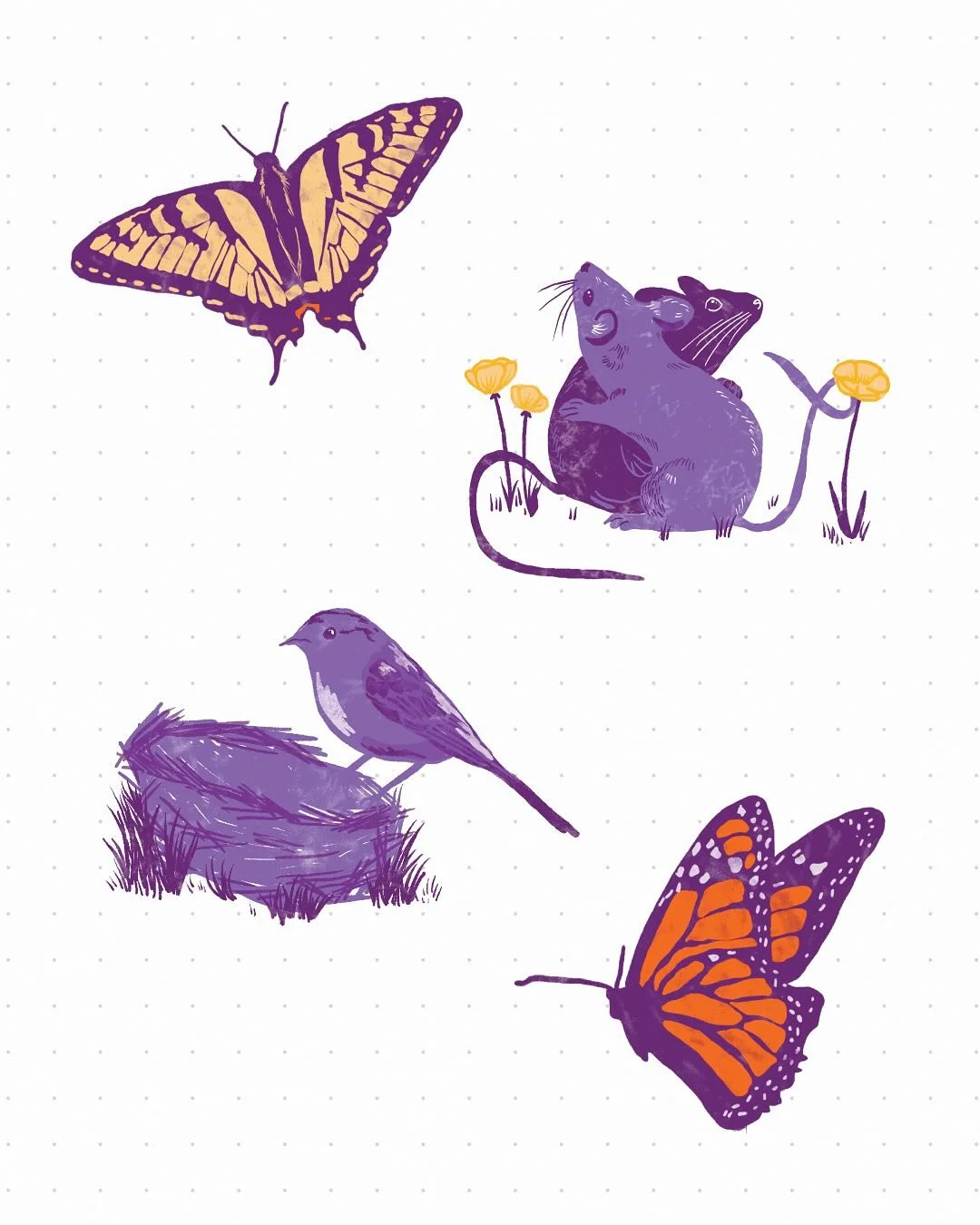 Some sweet critter friends 🦋